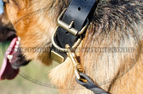 Strong Dog Collar