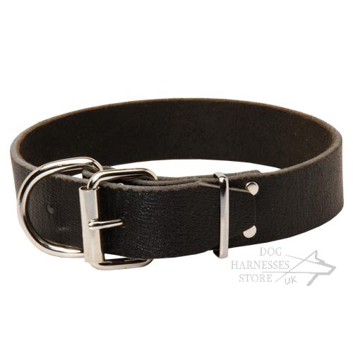 Wide Dog Collar UK