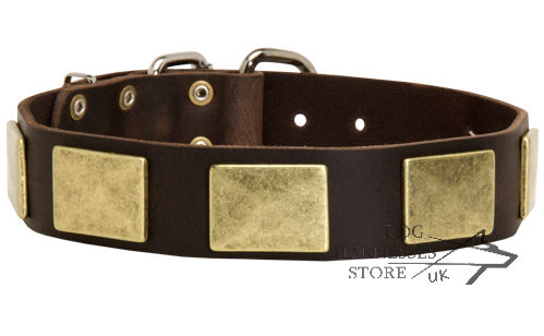 Wide Leather Dog Collar