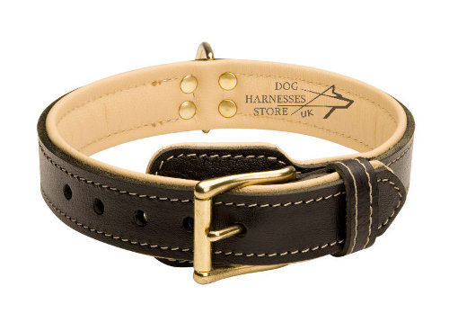 Wide Leather Dog Collar