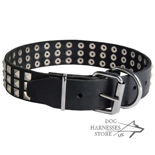 Wide Leather Dog Collar