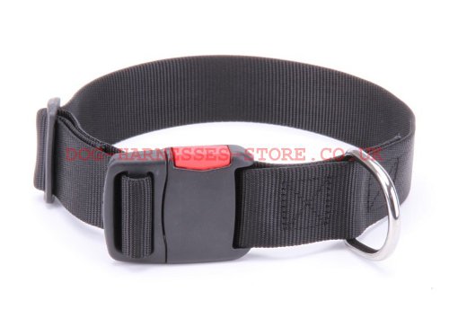 Adjustable Nylon Dog Collar