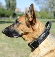 2 Ply Dog
Collar with Handle 2 Ply Dog Collar with Handle for GSD