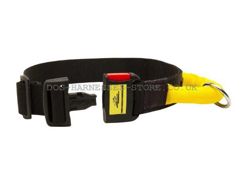 Agitation Dog Collar UK