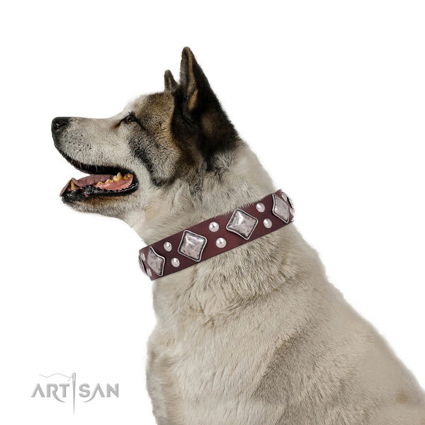 Akita Dog Collars UK