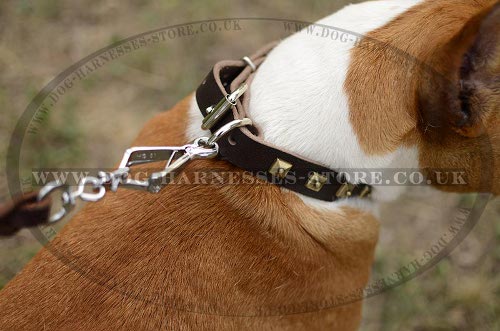 Amstaff Dog Collars UK