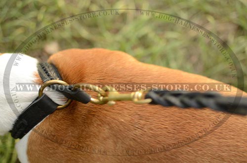 Amstaff Collar UK Leather Braided