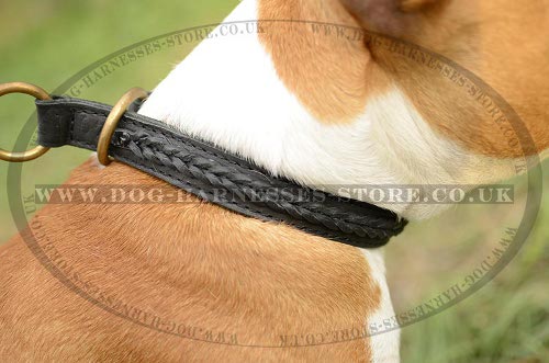 Amstaff Dog Collar Braided