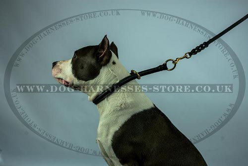 Leather Choke Dog Collar