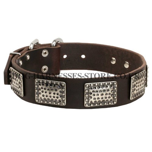 1.5 inch Leather Dog Collar