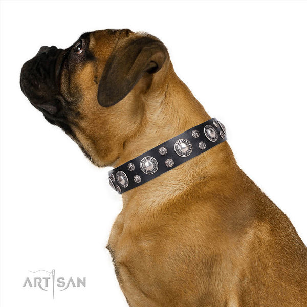 Artisan Leather Dog Collars