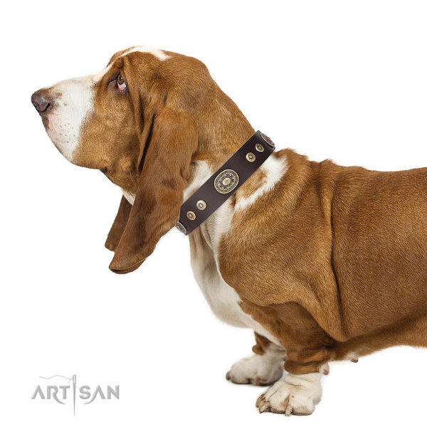 Basset Hound Collars