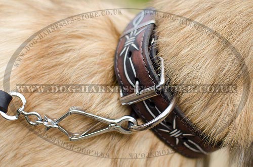 Belgian Tervuren Collar