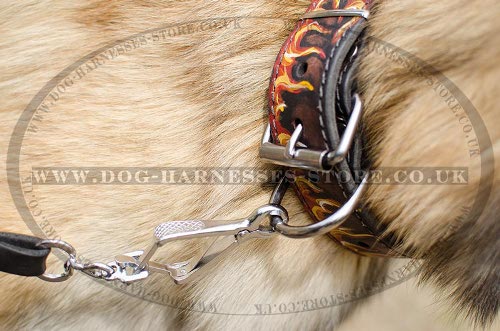 Belgian Tervuren Collar