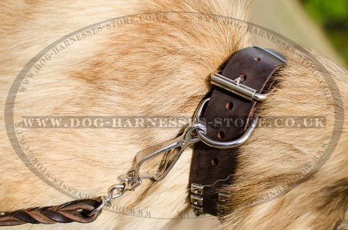 Belgian Tervuren Collar