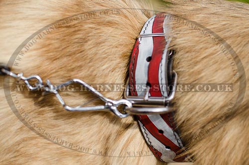 Belgian Tervuren Collar