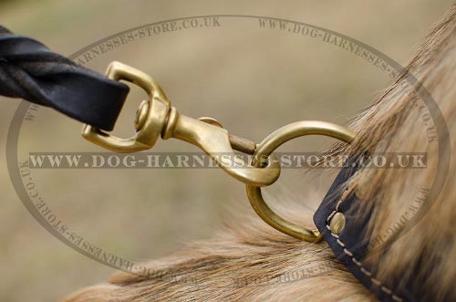 Belgian Tervuren Collar