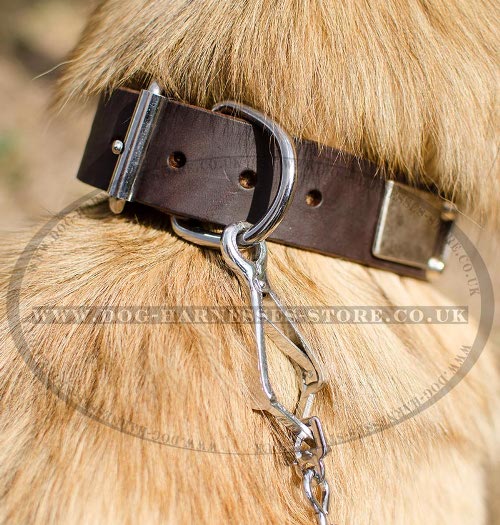 Belgian Tervuren Collar