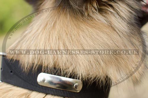 Belgian Tervuren Collar