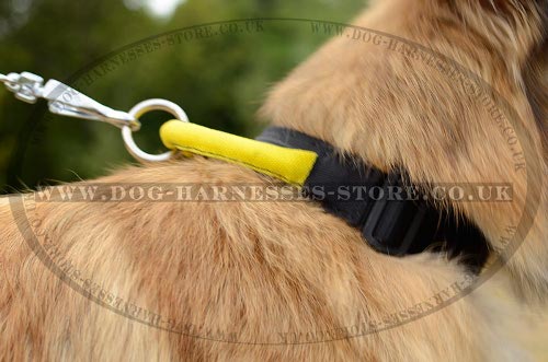 Belgian Tervuren Collar