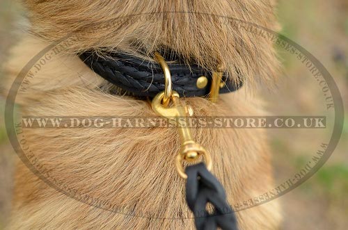 Belgian Tervuren Collar