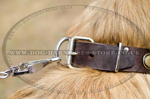 Belgian Tervuren Collar