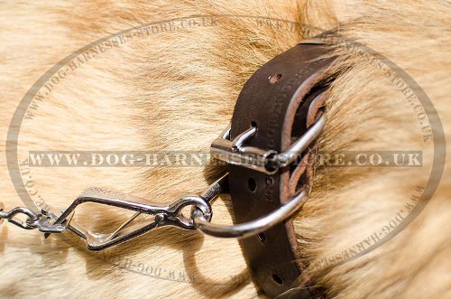 Belgian Tervuren Collar