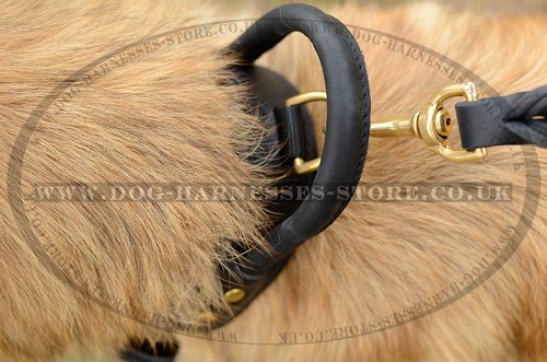 Belgian Tervuren Collar