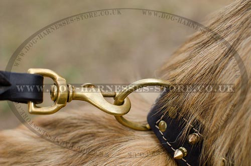 Belgian Tervuren Collars