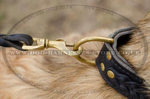 Belgian Tervuren Collars