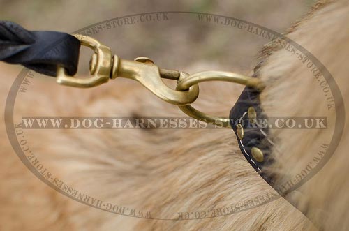 Belgian Tervuren Collars