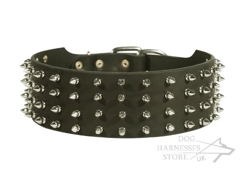 Leather Collar with Spikes for Large Dog