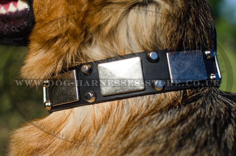 Best dog collars deals for german shepherds