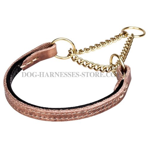 Best Half Check Dog Collar