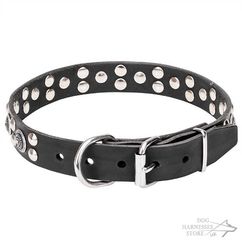 Best Walking Dog Collars