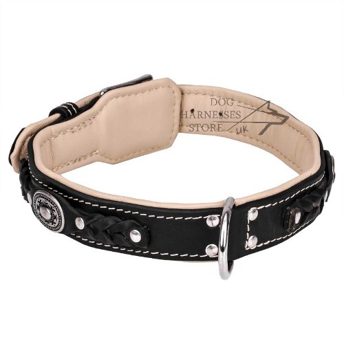 Royal Dog Collar