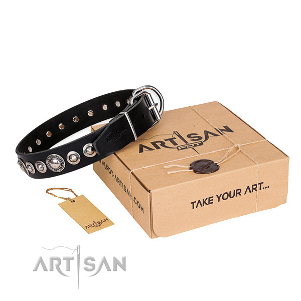 Black Dog Collars UK