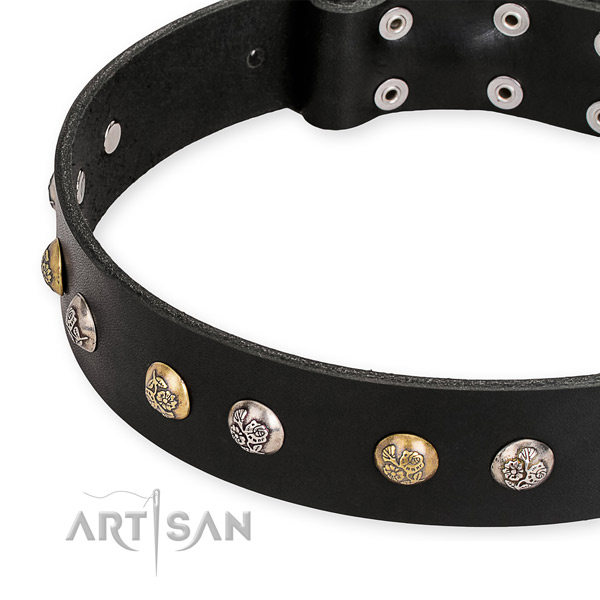 Black Leather Dog Collar UK