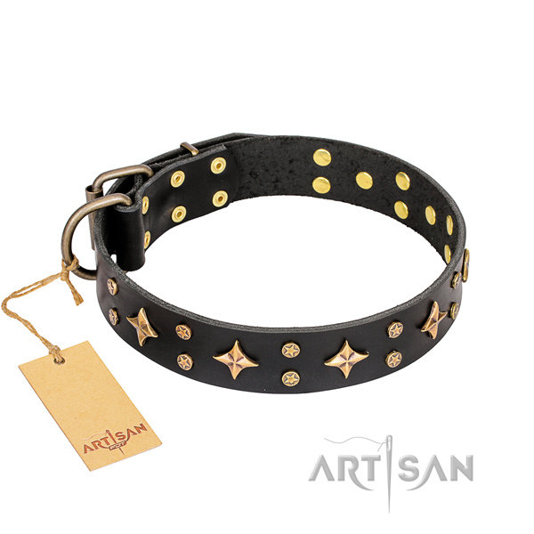 Black Leather Dog Collar