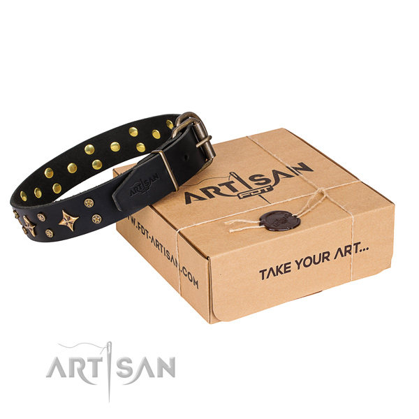 Black Leather Dog Collar with Studs