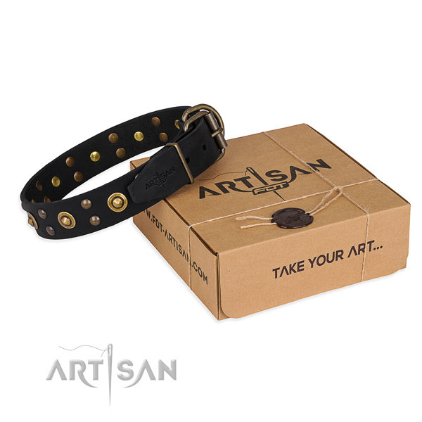 Black Leather Dog Collar with Studs