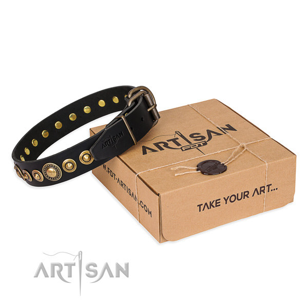 Black Leather Dog Collar with Studs