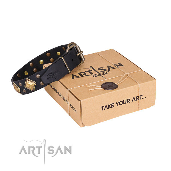 Black Leather Dog Collar with Studs