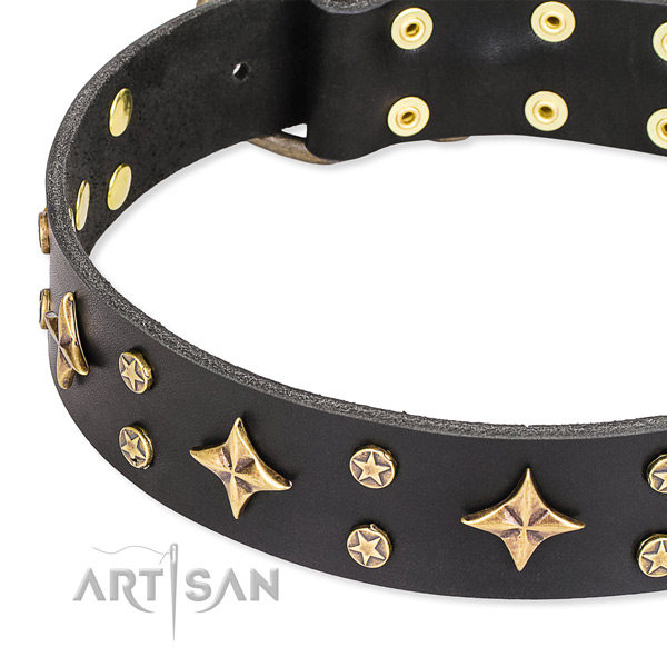 Black Leather Dog Collars UK