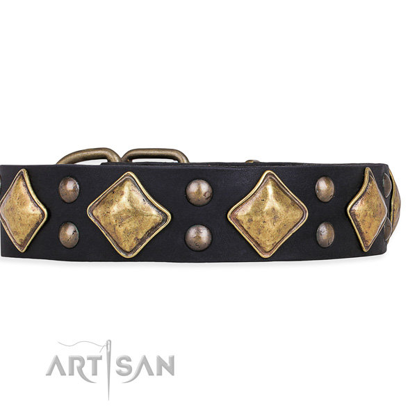 Black Leather Studded Dog Collar