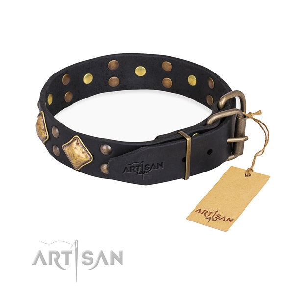 Black Studded Dog Collar