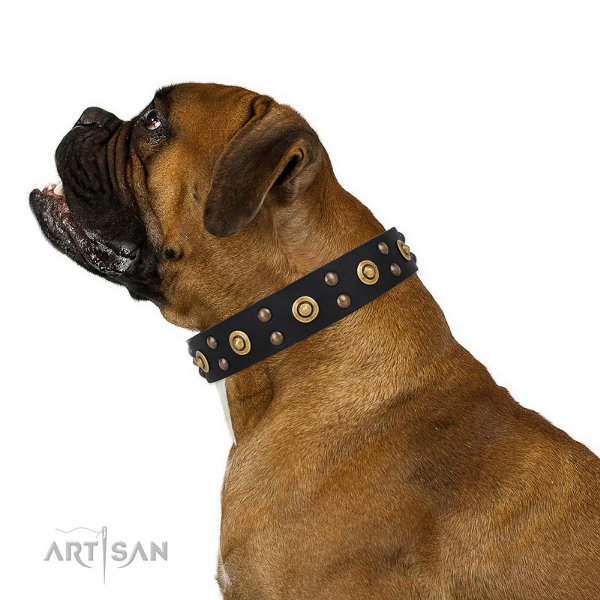 Boxer Dog Collars UK