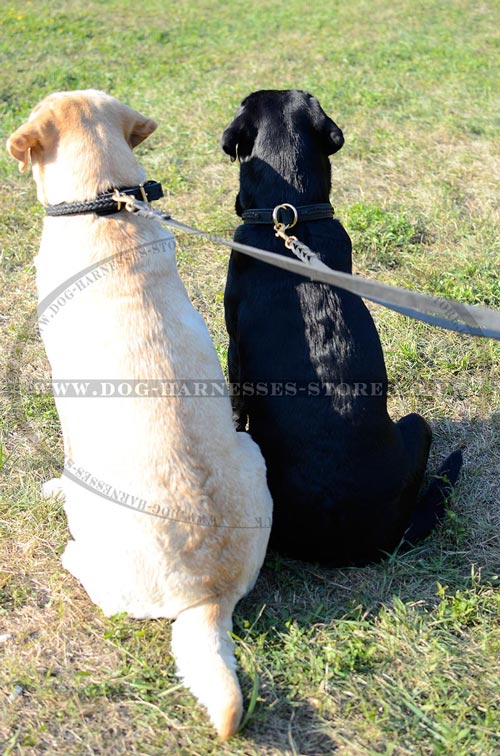 Braided Leather Dog Collars