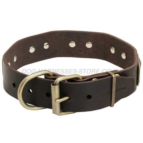 Brass Plated Leather Dog Collar