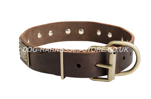 Decorated Leather Dog Collar